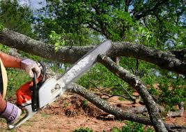 Kittitas, WA Tree Services Company